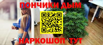 гидра Краснознаменск