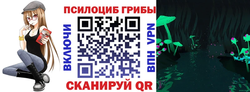 Галлюциногенные грибы Cubensis shop телеграм Заволжье