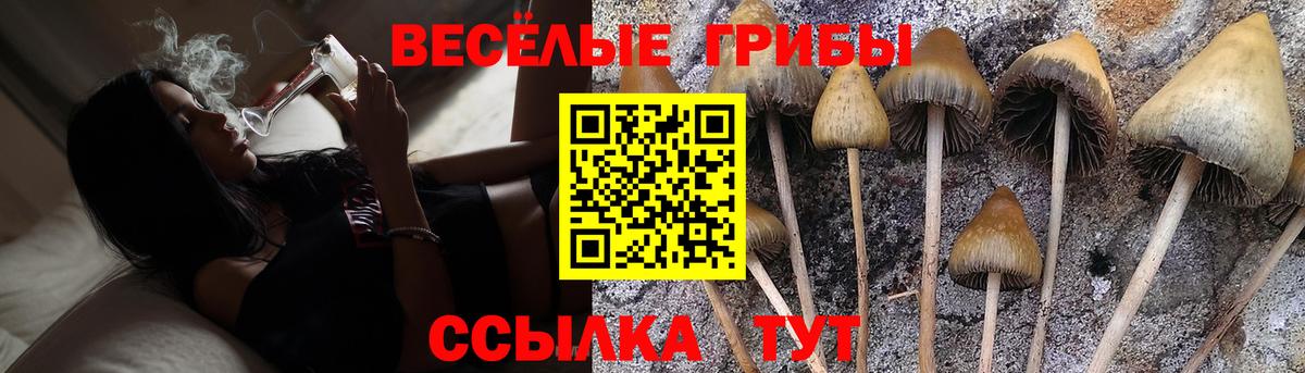 Галлюциногенные грибы ЛСД Заволжье