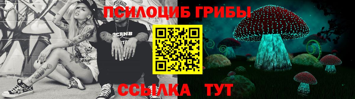Псилоцибиновые грибы Psilocybe  Вход с VPN  Заволжье 